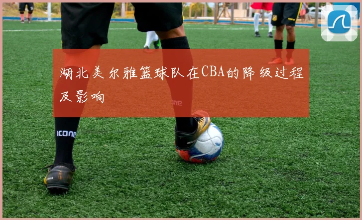 湖北美尔雅篮球队在CBA的降级过程及影响