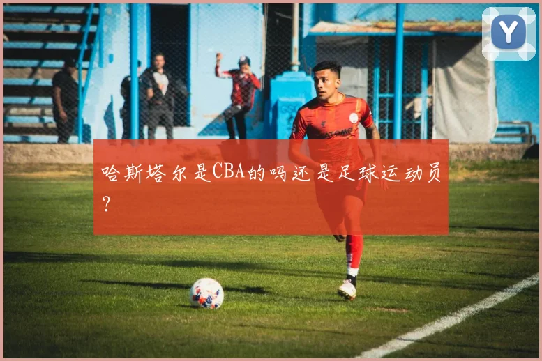 哈斯塔尔是CBA的吗还是足球运动员？